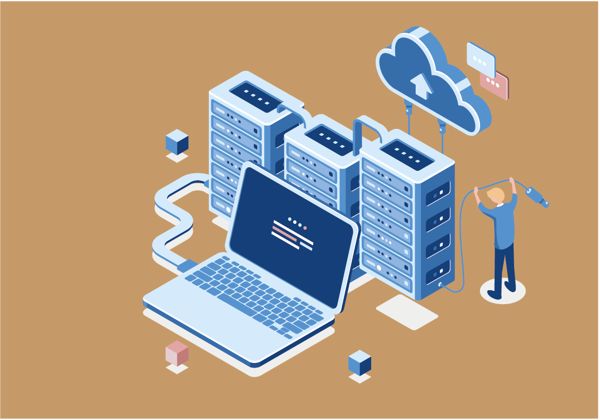 plateforme 11